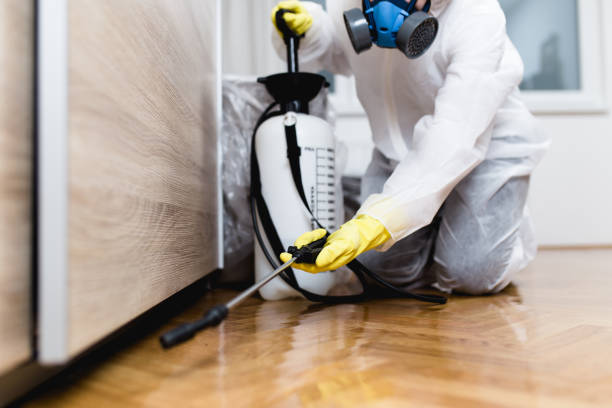 Best Mosquito Control Services  in Fabens, TX