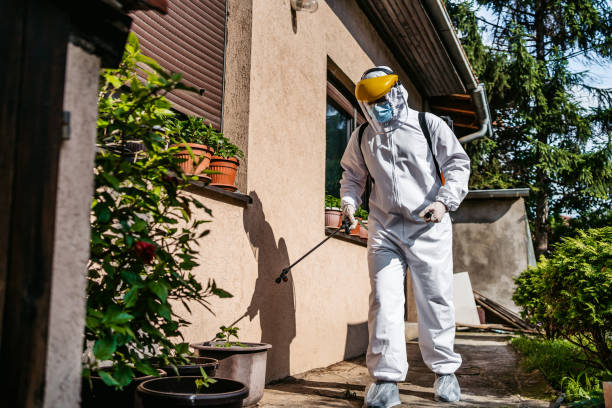 Best Affordable Pest Control Services  in Fabens, TX
