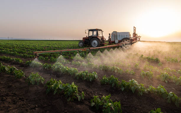Best Pest Removal Services  in Fabens, TX