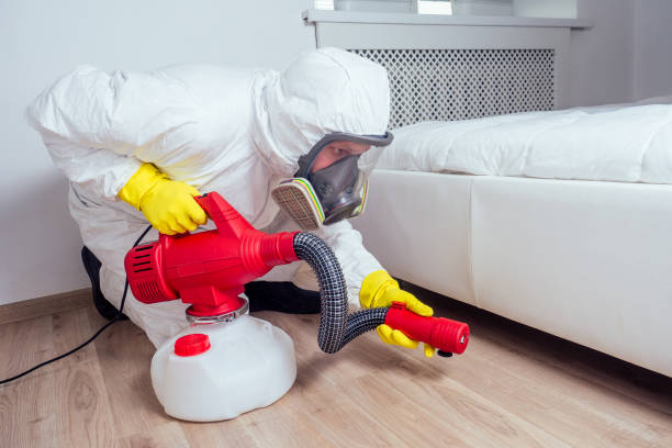 Best Best Pest Control Companies  in Fabens, TX