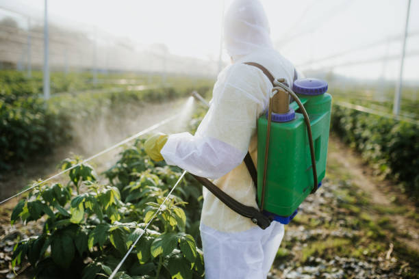 Best Pest Inspection Near Me  in Fabens, TX